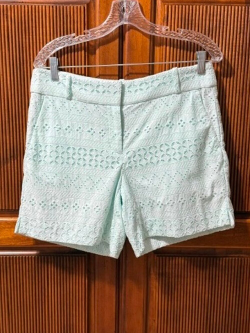 Ann Taylor Loft Riviera Mint Green Eyelet Lace Shorts Coastal Summer Size 6